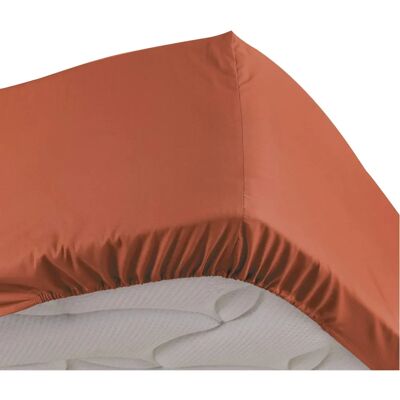Douceur d intérieur Red Percaline Fitted Sheet - 140x190 cm Douceur d intérieur Red Percaline Fitted Sheet - 140x190 cm