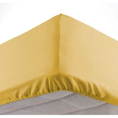 Drap-housse Oscar Jaune Douceur D Intérieur - Chambre Drap-housse Oscar Jaune Douceur D Intérieur - Chambre