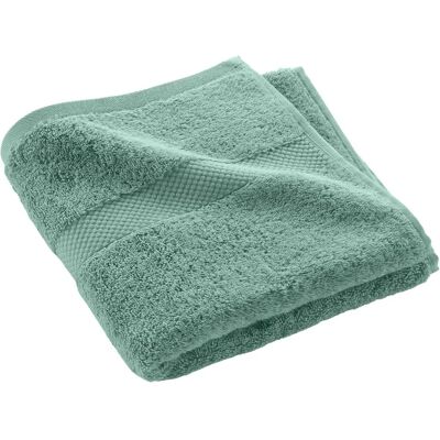Douceur D'intérieur Katoen groen 50x90cm Handdoek - Handdoek Douceur D'intérieur Katoen groen 50x90cm Handdoek - Handdoek