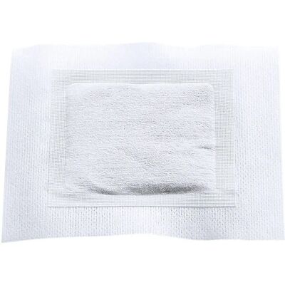 Wellys GI-122108 - Bambuspflaster - Ingwer - Set Wellys GI-122108 - Bambuspflaster - Ingwer - Set