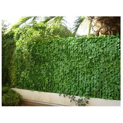 Jet7garden Rouleau de haie artificielle - 1,50x3m - Vert - Feuilles de lierre - Publicité Jet7garden Rouleau de haie artificielle - 1,50x3m - Vert - Feuilles de lierre - Publicité