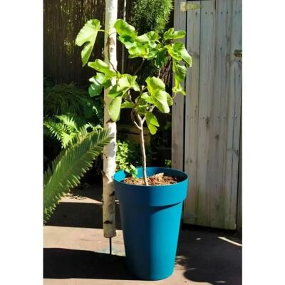 Pot de Plante en Plastique Riss 53 cm - Bleu - Publicité Pot de Plante en Plastique Riss 53 cm - Bleu - Publicité