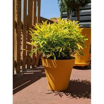Jardineras Riviera Amarillo - Ø 60 cm - Maceta Jardineras Riviera Amarillo - Ø 60 cm - Maceta