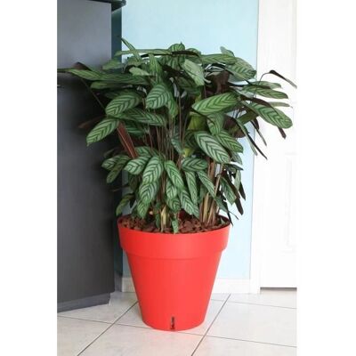 Marque Inconnue Pot de fleurs Riviera Rouge avec Réserve d'eau - Ø 50 cm - Publicité Marque Inconnue Pot de fleurs Riviera Rouge avec Réserve d'eau - Ø 50 cm - Publicité