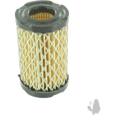 Filtro aria Greenstar 5489 - Per televisori Tecumseh Filtro aria Greenstar 5489 - Per televisori Tecumseh