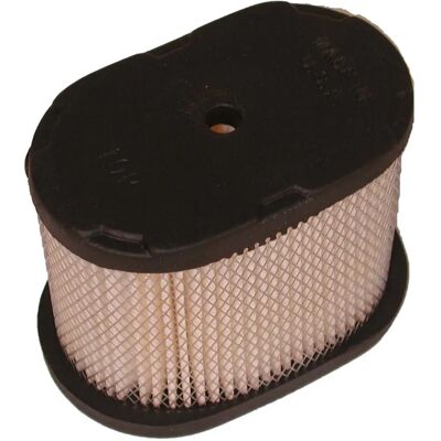 Filtre à air Briggs & Stratton 121600 - Pour moteurs 5,5 & 6,5 ch - Publicité Filtre à air Briggs & Stratton 121600 - Pour moteurs 5,5 & 6,5 ch - Publicité