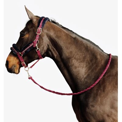 Fouganza Cabestro para Equitación - Varios Colores - Confort Fouganza Cabestro para Equitación - Varios Colores - Confort
