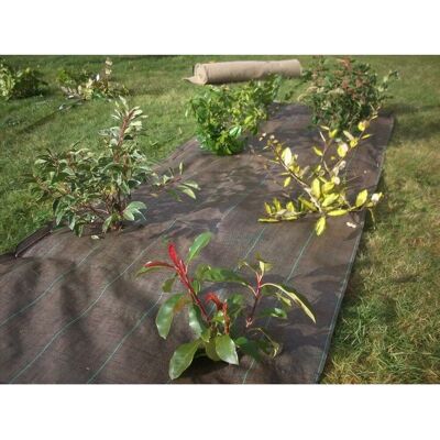 Tessuto da Giardino Verde Vilmorin - Modello VB01013 - Controllo delle Erbacce - 1,05x20 m Tessuto da Giardino Verde Vilmorin - Modello VB01013 - Controllo delle Erbacce - 1,05x20 m