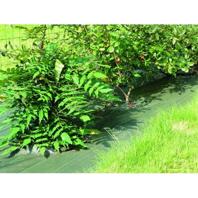 Rete da giardino Vilmorin - 90 g/m², Verde, 2,10m x 100m - Rete da giardino Rete da giardino Vilmorin - 90 g/m², Verde, 2,10m x 100m - Rete da giardino
