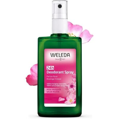 IT Cosmetics La tua pelle, ma meglio CC Cream correttiva 32 ml Avorio IT Cosmetics La tua pelle, ma meglio CC Cream correttiva 32 ml Avorio
