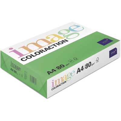 Antalis tmavě zelený A4 kopírovací papír - 80 g/m² Antalis tmavě zelený A4 kopírovací papír - 80 g/m²