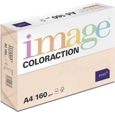 Antalis - Image Coloraction Savana - A4 - 160 g/m² - Barevný papír Antalis - Image Coloraction Savana - A4 - 160 g/m² - Barevný papír