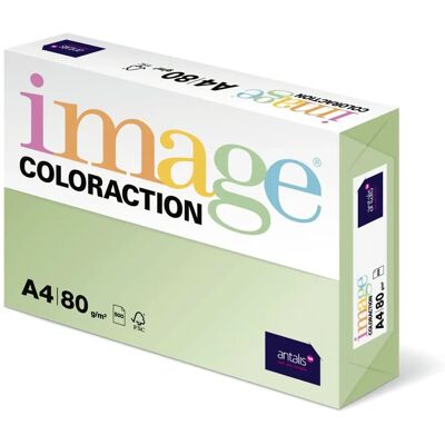 Papier pour impression ColorAction Jungle Vert Pastel - 500 Feuilles A4 - Publicité Papier pour impression ColorAction Jungle Vert Pastel - 500 Feuilles A4 - Publicité