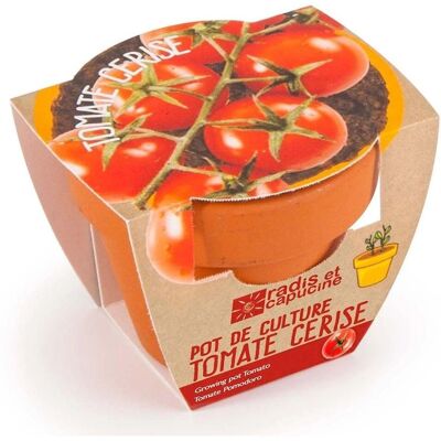 Terracotta - Cherry Tomato Seeds - 6 cm Pot - Organic - Seed Kit - Publicité Terracotta - Cherry Tomato Seeds - 6 cm Pot - Organic - Seed Kit - Publicité