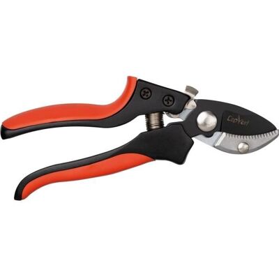 Cap Vert Klappschere 20cm Stahlklingen Hartholz - Gartenschere Cap Vert Klappschere 20cm Stahlklingen Hartholz - Gartenschere