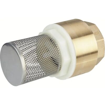 Cap Vert Crépine mit Rückschlagventil - 33x42mm - Edelstahl Cap Vert Crépine mit Rückschlagventil - 33x42mm - Edelstahl