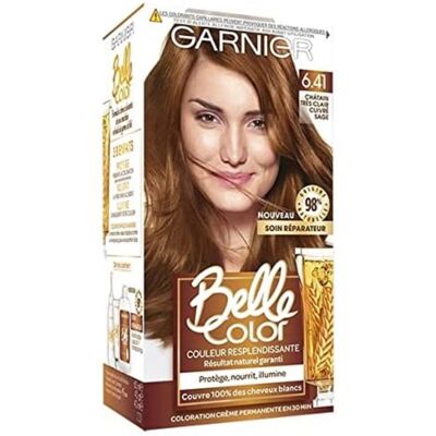 Garnier - Belle Color 6.41 - Chestnut cuivre - Hair Dye - Publicité Garnier - Belle Color 6.41 - Chestnut cuivre - Hair Dye - Publicité