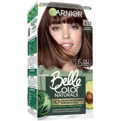 Garnier Belle Color Naturals - Brun Lumineux - Coloration capillaire - Publicité Garnier Belle Color Naturals - Brun Lumineux - Coloration capillaire - Publicité