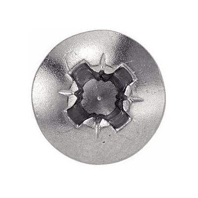 ACTON 624304.8X38 Vite autoperforante - Acciaio inossidabile Pozidriv - 1600 pezzi ACTON 624304.8X38 Vite autoperforante - Acciaio inossidabile Pozidriv - 1600 pezzi