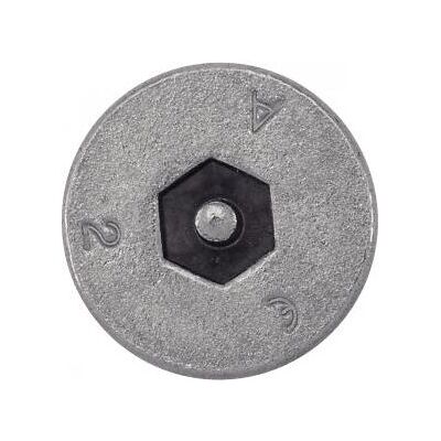 ACTON 628018X50 vis en acier inoxydable - 8x50mm - Inviolable Tête fraisée hexagonale ACTON 628018X50 vis en acier inoxydable - 8x50mm - Inviolable Tête fraisée hexagonale