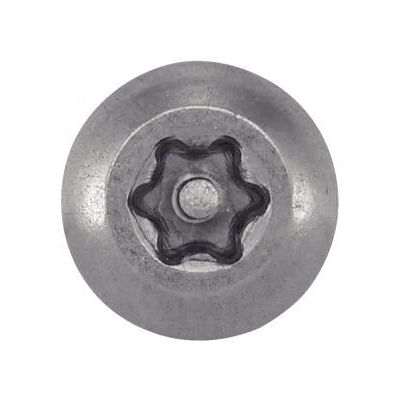 ACTON 628104.2X38 tornillo inoxidable inviolable - Tornillo/Broche ACTON 628104.2X38 tornillo inoxidable inviolable - Tornillo/Broche