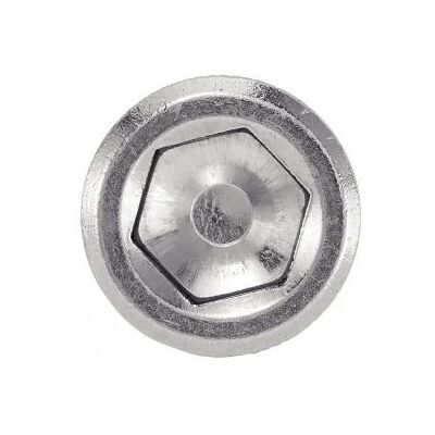 Tornillo ACTON 6420112X60 - Inox A4 Tornillo ACTON 6420112X60 - Inox A4