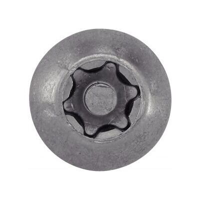 ACTON 628056X60 Tornillo - Cabeza Torx Inviolable - 800 piezas ACTON 628056X60 Tornillo - Cabeza Torx Inviolable - 800 piezas