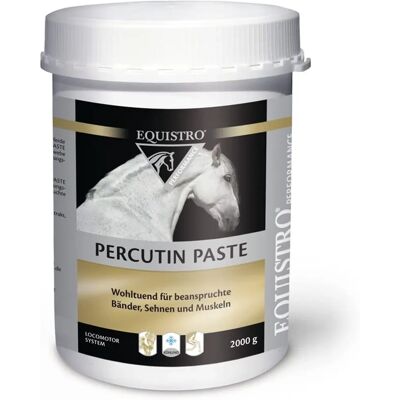 Equistro Percutin Paste Kühlgel für Pferde - Kühlpaste zur Regeneration Equistro Percutin Paste Kühlgel für Pferde - Kühlpaste zur Regeneration