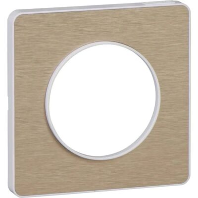 Schneider Electric S520802L Plaque Tactile Bronze - 1 Station - Publicité Schneider Electric S520802L Plaque Tactile Bronze - 1 Station - Publicité