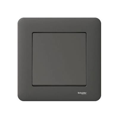 Schneider Electric WDE008422 Valaisin katkaisija - Antrasiitti - Upotettu asennus - Kuiva paikka - IP20 Schneider Electric WDE008422 Valaisin katkaisija - Antrasiitti - Upotettu asennus - Kuiva paikka - IP20