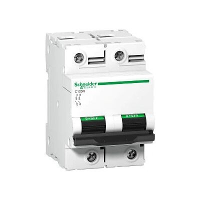 Schneider Electric A9N18383 Interruptor automático - 80A, 2P, curva D Schneider Electric A9N18383 Interruptor automático - 80A, 2P, curva D
