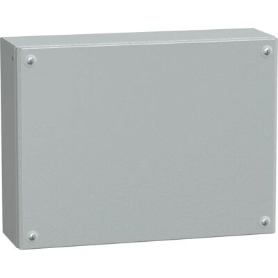 Schneider Electric Contenitore a parete con portello Piatta in Acciaio 300 x 400 x 120mm, col. Grigio, IP66 Schneider Electric Contenitore a parete con portello Piatta in Acciaio 300 x 400 x 120mm, col. Grigio, IP66