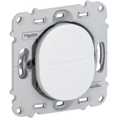 Interrupteur Ovalis Schneider Electric S261204 - Deux voies 10AX, Avec vis, Sans plaque terminale - Publicité Interrupteur Ovalis Schneider Electric S261204 - Deux voies 10AX, Avec vis, Sans plaque terminale - Publicité