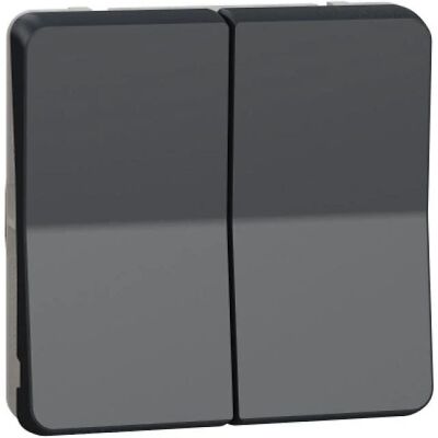 Schneider Electric Mureva Styl 10A Interrupteur gris Surface/Encastré - Publicité Schneider Electric Mureva Styl 10A Interrupteur gris Surface/Encastré - Publicité