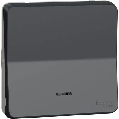 Interruptor Schneider Electric Mureva Styl IP55 - Montaje en pared, Resistente al agua Interruptor Schneider Electric Mureva Styl IP55 - Montaje en pared, Resistente al agua