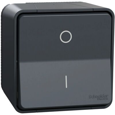Schneider Electric Mureva Styl MUR35033 - Bipolar IP55-bryter Schneider Electric Mureva Styl MUR35033 - Bipolar IP55-bryter