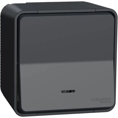 Schneider Electric Mureva Styl IP55 Interrupteur Étanche - Montage en Surface Schneider Electric Mureva Styl IP55 Interrupteur Étanche - Montage en Surface