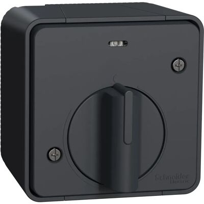 Schneider Electric Mureva Styl MUR35067 Interrupteur Temporisé Mécanique - IP55 - Publicité Schneider Electric Mureva Styl MUR35067 Interrupteur Temporisé Mécanique - IP55 - Publicité