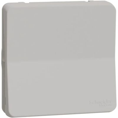 Prise de surface Schneider Electric Mureva Styl - IP55, 16A - Publicité Prise de surface Schneider Electric Mureva Styl - IP55, 16A - Publicité