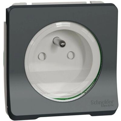 Schneider Electric MUR36133 Enchufe eléctrico exterior gris - Enchufe eléctrico Schneider Electric MUR36133 Enchufe eléctrico exterior gris - Enchufe eléctrico