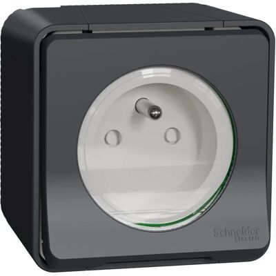 Schneider Mureva MUR36030 - Enchufe de superficie IP55 Schneider Mureva MUR36030 - Enchufe de superficie IP55