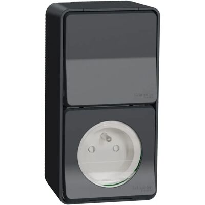 Schneider Electric Mureva Enchufe y Interruptor 2P+T - Gris Schneider Electric Mureva Enchufe y Interruptor 2P+T - Gris