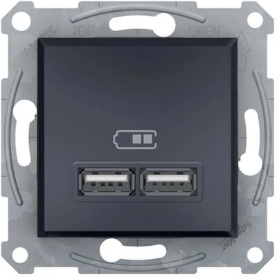 Chargeur USB Double Schneider Asfora EPH2700271 - IP20 - Publicité Chargeur USB Double Schneider Asfora EPH2700271 - IP20 - Publicité