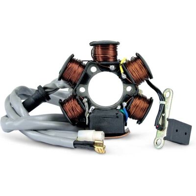 TNT NRG- <1999 Stator - Piaggio Compatibility TNT NRG- <1999 Stator - Piaggio Compatibility