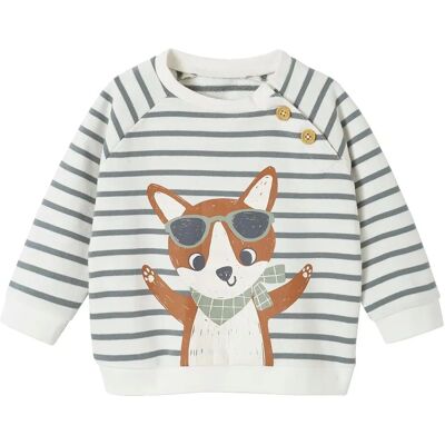 Vertbaudet Baby Green Striped Cotton Sweatshirt - Sweatshirt Vertbaudet Baby Green Striped Cotton Sweatshirt - Sweatshirt