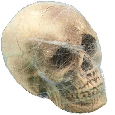 JADEO Skull decoration with spider web JADEO Skull decoration with spider web