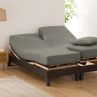 La Redoute Interieurs SCENARIO - grafito - 180 x 200 cm - 100% cotton jersey - Fitted sheet La Redoute Interieurs SCENARIO - grafito - 180 x 200 cm - 100% cotton jersey - Fitted sheet