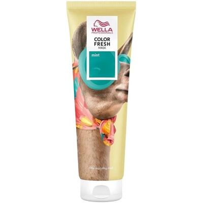 Wella Marke Modell Mint Haarmaske - Semipermanent Haarkur Wella Marke Modell Mint Haarmaske - Semipermanent Haarkur