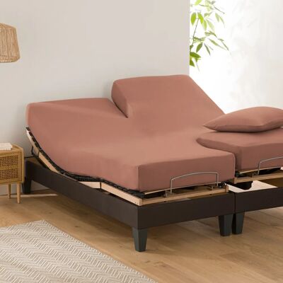 La Redoute Interieurs - Scenario - Fitted sheet La Redoute Interieurs - Scenario - Fitted sheet