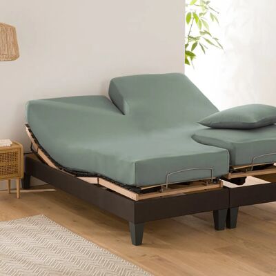 LA REDOUTE INTERIEURS SCENARIO - 180x200 cm - Verde Funda ajustable de sábana LA REDOUTE INTERIEURS SCENARIO - 180x200 cm - Verde Funda ajustable de sábana